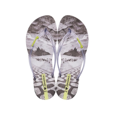 Women's Ipanema Wave Natural Flip Flops Grey | US952617JE